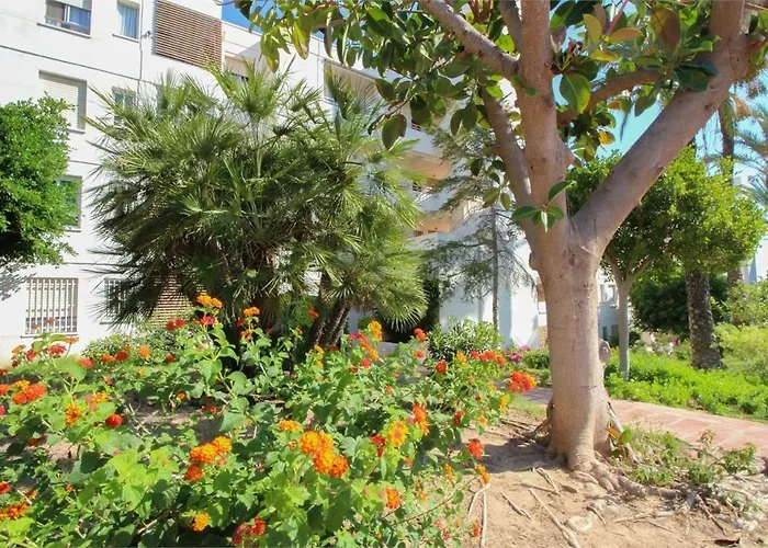 Myflats * Гран-Алакант