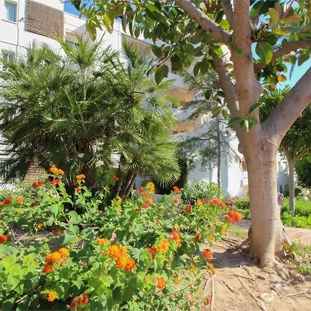 Myflats * Gran Alacant